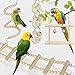 Small Bird Swing Toys, 8 Pieces Parrots Chewing Natural Wood and Rope Bungee Bird Toy for Anchovies, Parakeets, Cockatiel, Conure, Mynah, Macow and Other Small Birds