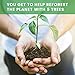 Ecofella 8” Reusable Bamboo Drinking Straws | 10 Pack Incl. Cleaning Brush And Storage Bag | Plant 5 Trees For Free | Incl. Zero Waste Ebook | Natural, Ecofriendly, And Organic Replacement For Plastic