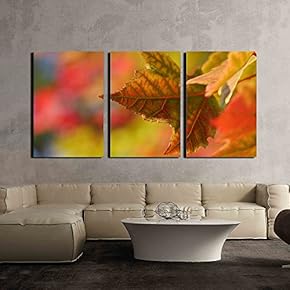 3 Piece Canvas Wall Art - Closeup of Maple Leaf During Fall Time - Modern Home Art Stretched and Framed Ready to Hang - 16"x24"x3 Panels