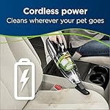 Bissell Pet Hair Eraser