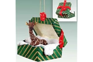 Conversation Concepts Giraffe Gift Box Christmas Ornament - Colorfull
