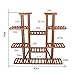 9 Tier Wooden Plant Stand Indoor Carbonized Flower Shelf 46 Inch High 16 Potted Large Capacity Organizer Shelf Display Rack Holder for Patio Garden Corner Outdoorthumb 1