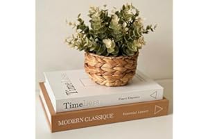 Decorative Books Set of 2, Linen Faux Book Storage Boxes for Coffee Table & Bookshelf Decor, Realistic Lined Page Design, Neu