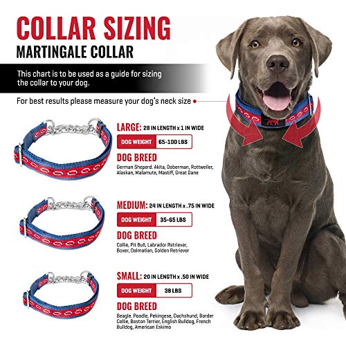 Chain Collar For Dogs That Pull Pictures
