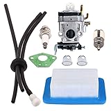Panari WYK-192 Carburetor + Tune Up Kit Air Filter Fuel Line for Echo PB651H PB651T PB755SH PB755ST Backpack Blower