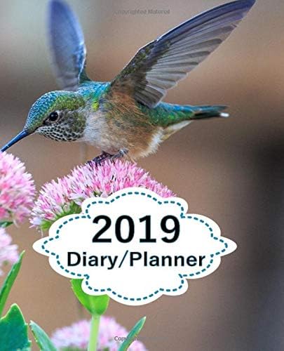 2019 Diary Planner: Page A Day (365 Pages) Daily Diary / Planner, Calendar Schedule Organizer for Daily, Weekly & Monthly Goals Blue Humming Bird Pink Flowers Cover Paperback – November 20, 2018