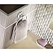 Franklin Brass D2416SN Futura Towel Ring, Satin Nickel