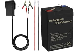 Talentcell 6V 6Ah LiFePO4 Battery Pack LF060A1, 2000 Cycles Rechargeable Lithium Iron Phosphate Battery with Charger