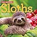 Original Sloths Mini Wall Calendar 2020 by 