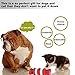 Dog's Chew Toy Dogs Teeth Cleaning Toy [Bite Resistant][Non-Toxic Soft Rubber]Jakpak Dog Chew Toys and Teeth Cleaning Toy for Aggressive Chewers Funny Rotary Rubber Gear Toy for Dogs Red