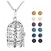 JOVIVI 12 Dyed Lava Stone Aromatherapy Essential Oil Diffuser Birdcage Locket Pendant Necklace 28