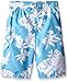 Kanu Surf Boys' Zipline Quick Dry UPF 50+ Beach Swim Trunk, Voyage Aqua, 10/12