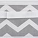 DII Non Woven Polyester Storage Bin, 11x11x5.5-inch, Chevron Gray, 2 Piece