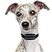 Our K9 Royal Dog No Bark Collar - Anti Bark Vibration Control - 7 Levels Button Adjustable Sensitivity Control - Warning Beep Then Vibration for 15-120 lb. Dogs - Low Battery Alarm