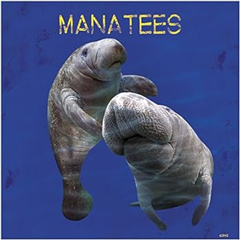 Tree-Free Greetings Premium Refrigerator Magnet, 3.5 x 3.5 Inches, Manatees Themed Wildlife Art (62943)