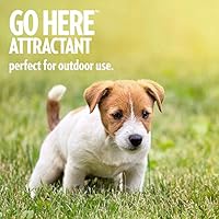 go here attractant