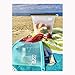 Shark Lock Silicone Food Storage Bag (6 Bags) 2 New 10 Ounce Silicone Snack Bags, 2 Med Reusable Sandwich Bags, 2 Large Reusable Silicone Food Bag, Silicone Storage Bags Reusable