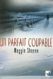 Un  parfait coupable