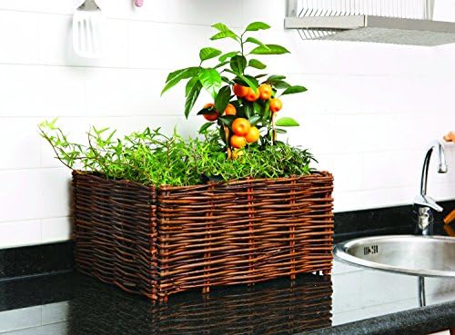 Catral 71080003 - huerto urbano kit planter, 70 x 35 x 30 cm ...