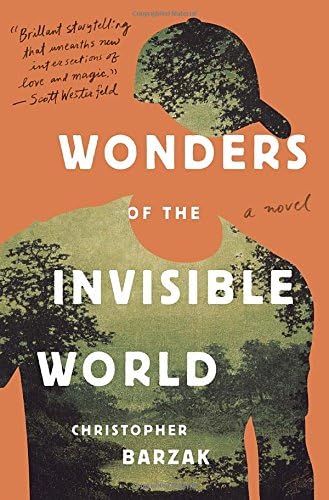 Wonders of the Invisible World Hardcover – 8 Sep 2015