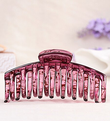 Prettyou 4.3" Large Plastic Resin Hair Claw Clip for Women, 2 Count. (SET2)