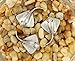 Bezelry 12 Pieces Stingray Antique Silver Color Metal Shank Buttons 21mm