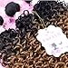 FRELYN Loose Wave Synthetic Hair Weave Bundles with Closure Ombre Color T1B/27 Black to Dirty Blonde 16 18 20 Inches Bundles with Lace Closure