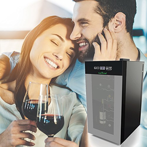 5 NutriChef+Thermoelectric+Freestanding+Refrigerator+Operation