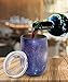 GIGRIN Insulated Wine Tumbler, Stemless Wine Glasses with Lid and Straw, 12oz Stainless Steel Wine Cups for Coffee, Drinks, Champagne, Cocktails, Cleaning Brushes Included (2 Pack, Star Blue)