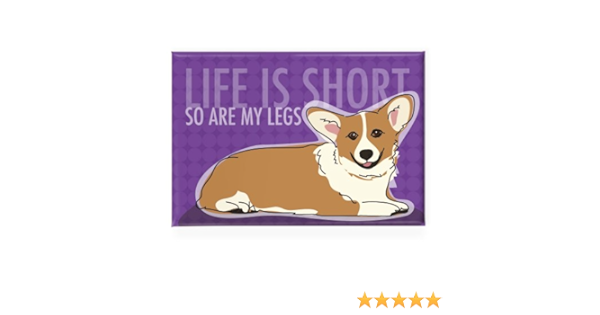 corgis in shorts