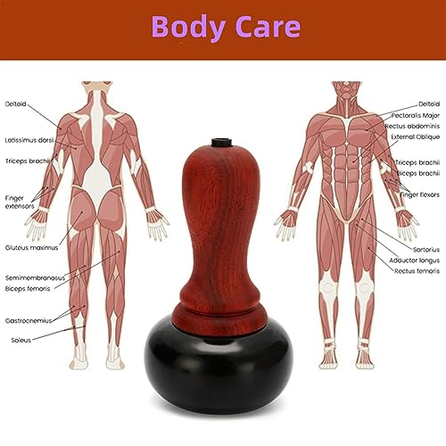 TERRIFI Electric Hot Stones Massage Kit with Temperature Control, Includes Natural Bian Stone Gua Sha Scraping Massage Tools, Ideal for SPA, Relaxation, Pain Relief and Massage Treatments