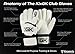 KixGK Club Goalkeeper Gloves (Sizes 5-12): All Purpose Match Training Adult & Youth Unisex Soccer Goalie Gloves - GK Gloves Designed for Performance, Comfort, & Safety