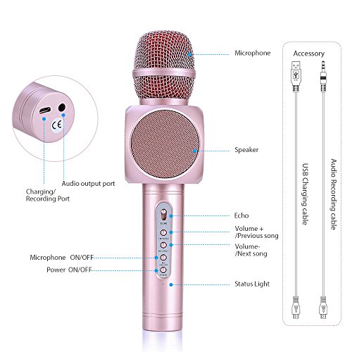Wireless Bluetooth Karaoke Microphone, Fede 3-in-1 Portable Karaoke System with Two Built-in Speakers for Home KTV, Outdoor and Birthday Party. Work with Apple iPhone Android Smartphone or PC