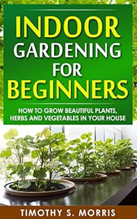 Indoor Gardening For Beginners How To Grow Beautiful