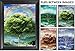 Four Seasons Tree 3D Poster Wall Art Decor Print | 14.5x18.5