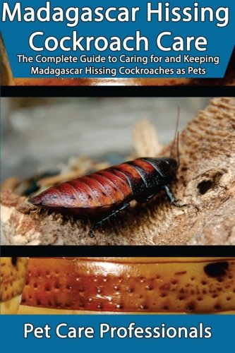 Madagascar Hissing Cockroach Care: The Complete Guide to Caring for and Keeping Madagascar Hissing C by Pet Care Professionals
