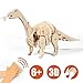 Lychee 3D Educational Gift Wooden Sound Control Dynamic Dinosaur Jigsaw Puzzle, DIY Assemble Dinosaur Robot Wood craft Toy Kit For Age 8+ Boy&Girls (Aptosaurus)