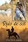 Livro Raio de sol