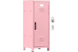 LYIYEYAN Mini Locker with Lock and Keys, Rustproof Metal Small Locker, Portable Mini Locker Cabinet, Practical Mini Storage L