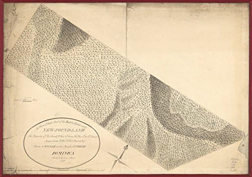 Vintage 1776 Map of that part of the Rosalij Estate call'd New-Found-Land, the property of His Excellcy. Chas. O'Harra, the Hon. Lt. Gov. Wm. Stuart, James Clarke & Rob. & Phill. Browne, Esqrs., situate at Rosalij in the parish of St. David, Dominica. Dominica, Rosalie Region