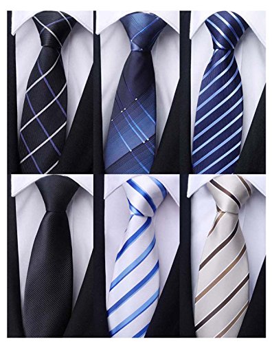 WeiShang Classic Men's Silk Tie Necktie Woven JACQUARD Neck Ties