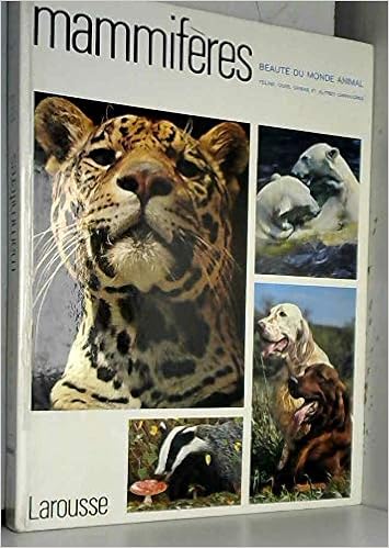 Amazon Fr Beaute Du Monde Animal Tome 2 Mammiferes Felins Ours Chiens Et Autres Carnivores Collectif Livres