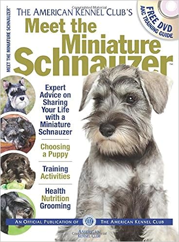 american miniature schnauzer club