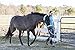 Intrepid International Horse Halter - 4-Piece Fleece Halter Covers for Horses, Halter Fleece Set Offering Comfort and Protection, Machine Washable, Ideal for Equestrians and Horse Owners