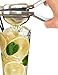 Lime - Lemon Zester/Grater Professional Citrus Juicer Hand Held Fruit Press, Best Kitchen Gadget DC-LS-SS By Delightful Chef
