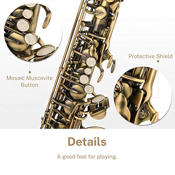 Eastar Saxofón Alto Acabado Antiguo Bronce envejecido - Imagen 5