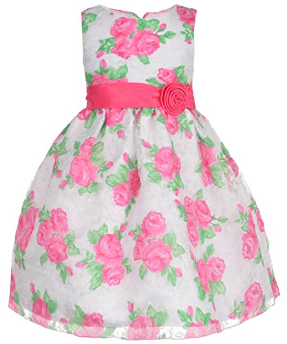 American Princess Little Girls Toddler Blush Dress White 4t | Desertcart  Aruba