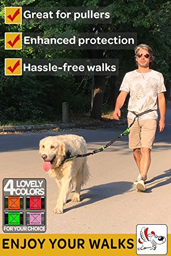 Pet Dreamland Hands Free Dog Running Leash - One/Two Medium to Large Dogs (up to 150lbs) - Adjustable Dog Walking Leash - Running Dog Belt - Waist Retractable Dog Leash (One Dog, Black & Green)