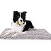 Norcho 20 inch by 31 inch Non-slip Absorbent Microfiber Bathroom Soft Bath Mat Grey