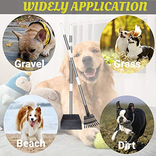 TIANYAO Dog Pooper Scooper Upgraded Metal Pet Poop Tray And Rake Set